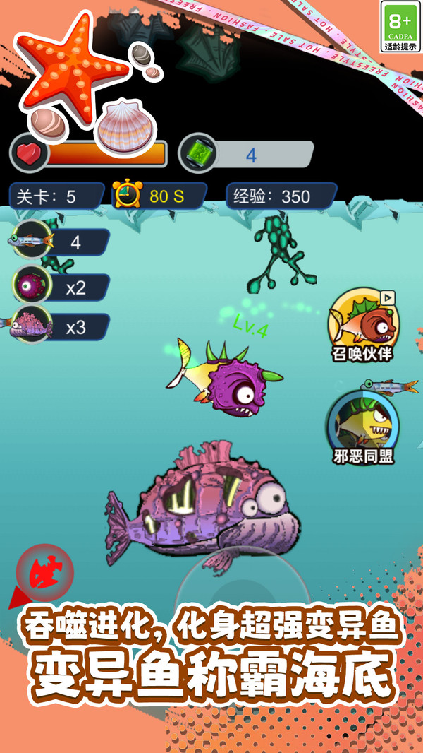 海底进化乐
