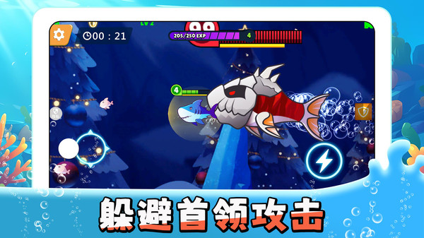 鲨鱼进化论