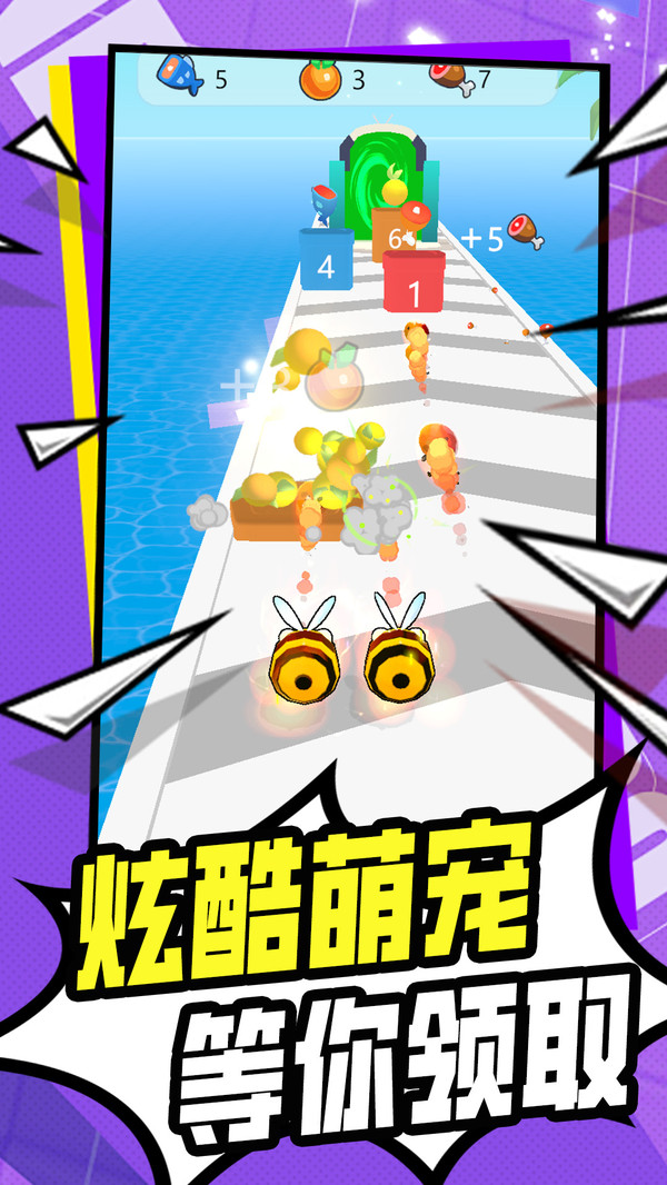 宠物动一动