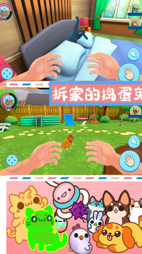 别切到猫咪