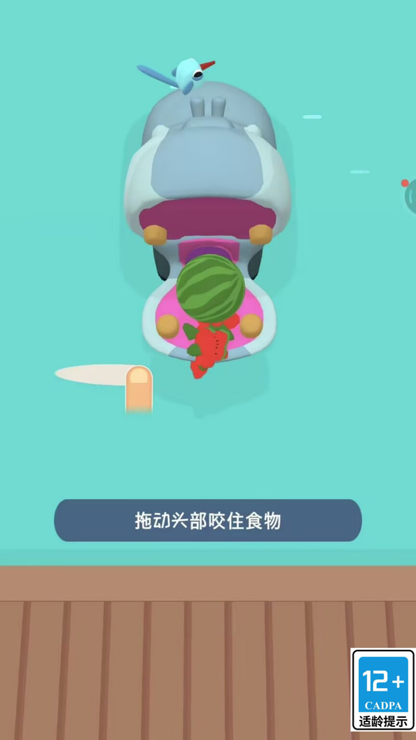 动物园打工人