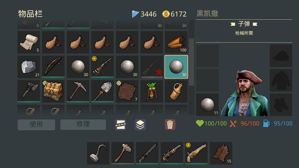 最后的海盗：生存岛