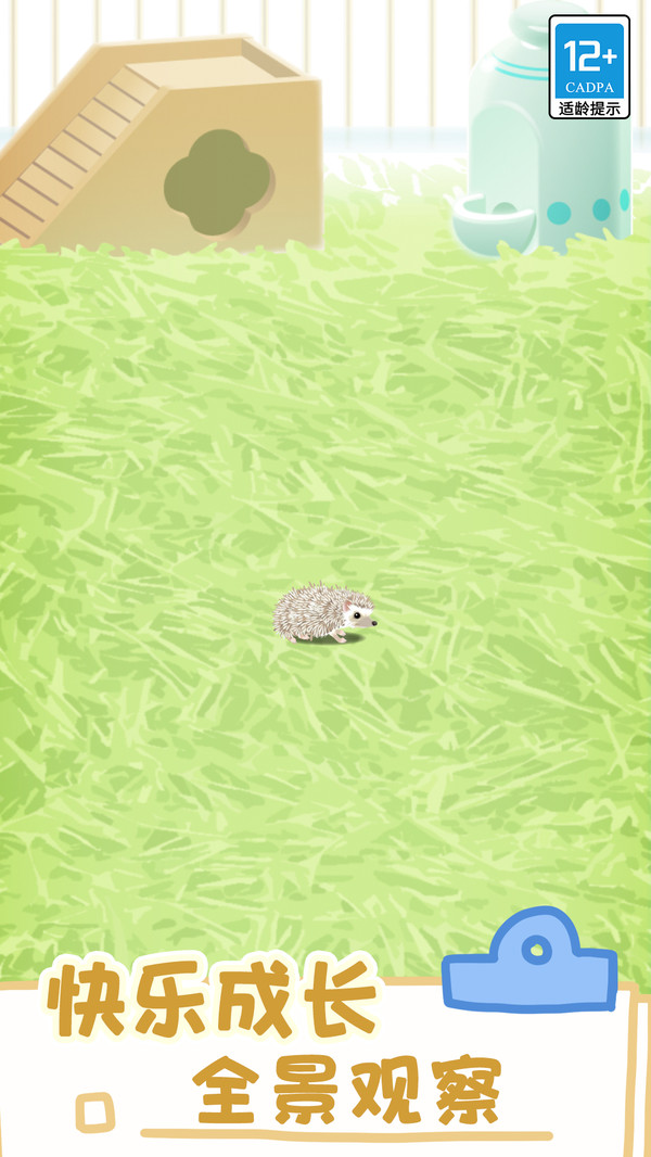 小小宠物