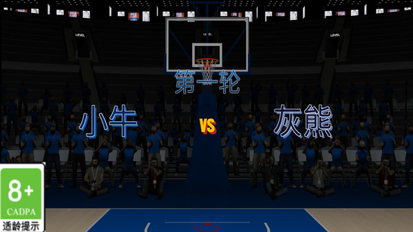巅峰篮球对赛