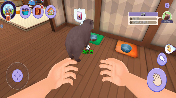 我的水豚小伙伴