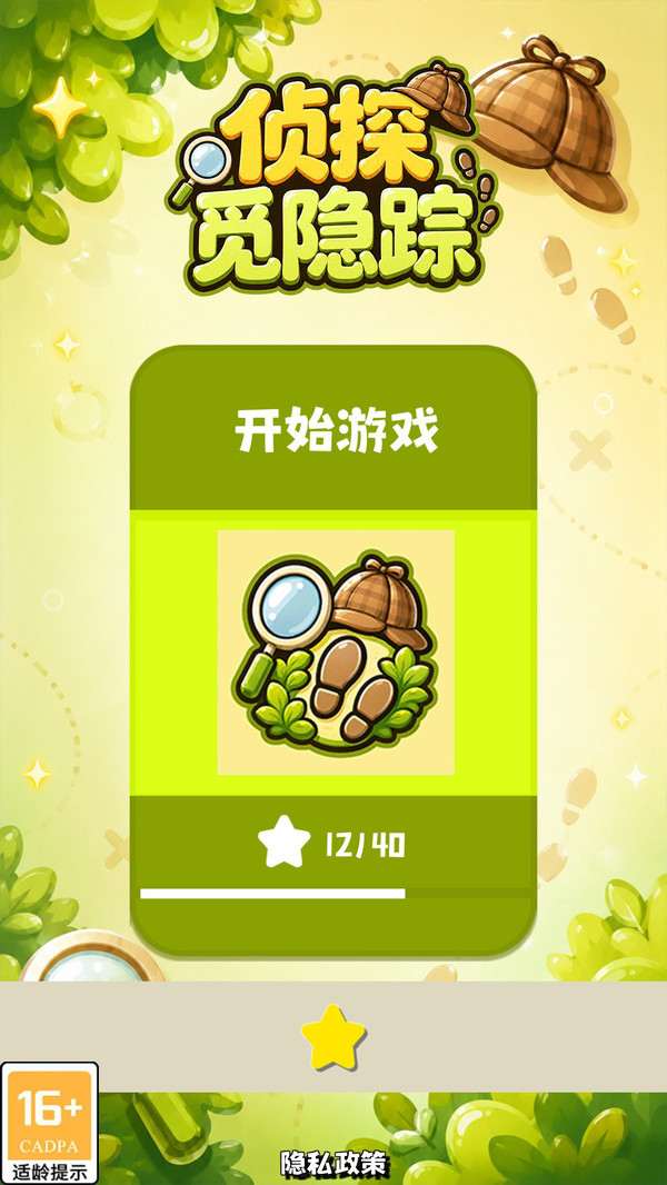 侦探觅隐踪