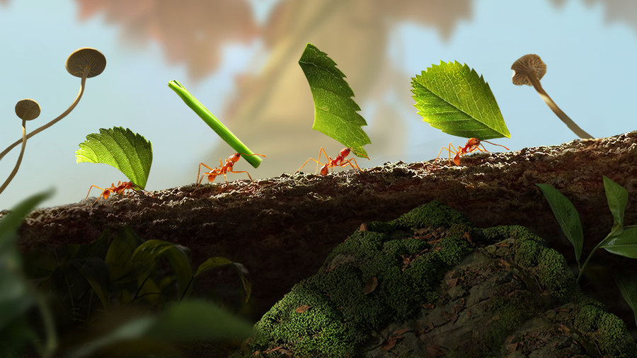 小小蚁国_小小蚁国下载_攻略_礼包_小米游戏中心