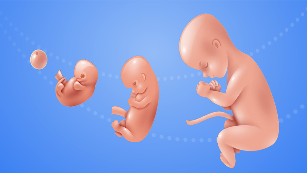 宝宝养成模拟器