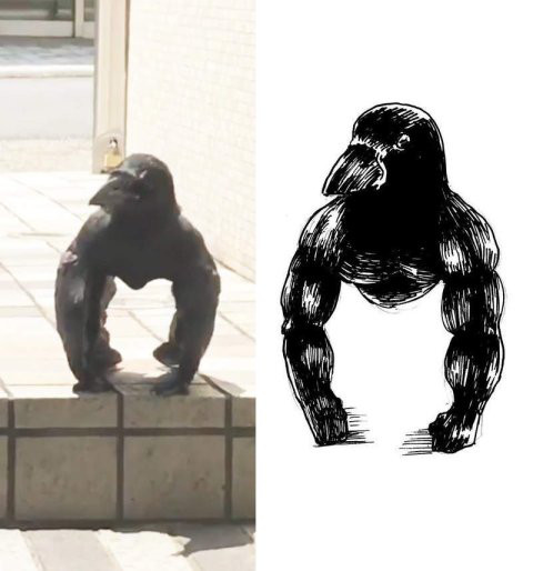 不,网友们怎么会如此轻言放弃呢,不断有新的可爱动物被人发掘出"兄贵"