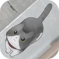 流浪猫的故事