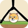 我看你咋整