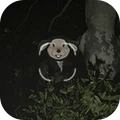 看不见的秘密-诅咒相机