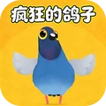 疯狂鸽鸽