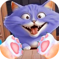 就玩躲猫猫