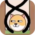 狗头救救救