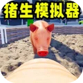 可爱小猪2-小猪模拟器