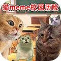 猫猫惊魂夜