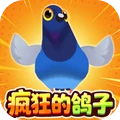 疯狂的鸽子闯关