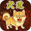 犬道