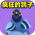 疯狂的鸽子233