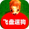 飞盘遛狗