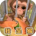 VR萌宠3D-我是猴
