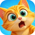 我是小猫猫