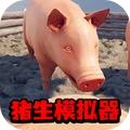 动物进化大作战2-小猪模拟器