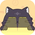 受惊的猫咪