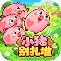 小猪别扎堆