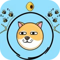 汪星人救援日记