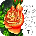 数字填色花园