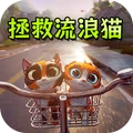 拯救流浪猫