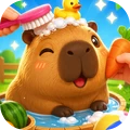 爱宠小屋成长录