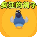 疯狂节拍-疯狂的鸽子消除