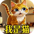 我的猫日记
