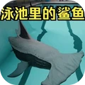 恐怖鲨鱼游泳池