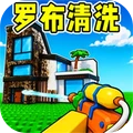罗布清洗