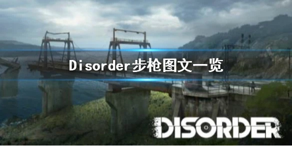 《Disorder》步枪有哪些 步枪图文一览
