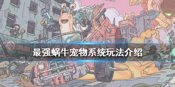 《最强蜗牛》宠物系统玩法介绍 宠物系统怎么玩