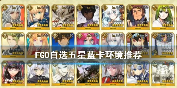 《FGO》25选1从者推荐 术呆落地后2000万DL自选五星怎么选