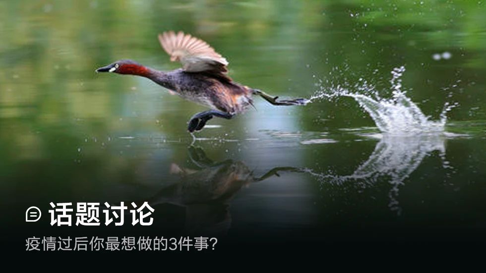 疫情过后你最想做的3件事？