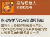 《海岛纪元》熊本熊技能书带什么 熊本熊技能书选推荐