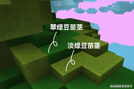 《手工星球》保持四季常青的秘密居然是……