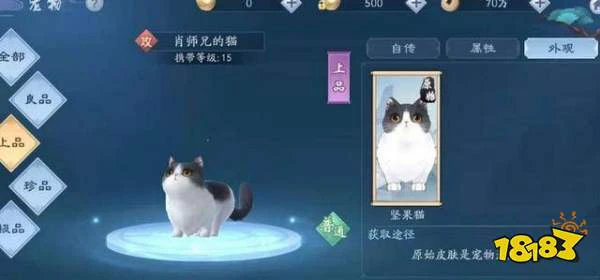 新笑傲江湖手游肖师兄的猫怎么获得？